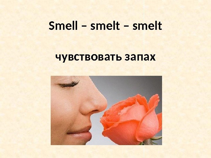 Smell – smelt чувствовать запах 