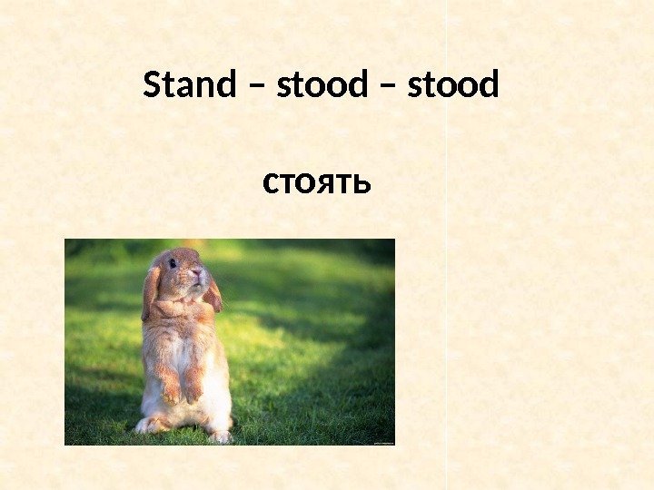 Stand – stood стоять 