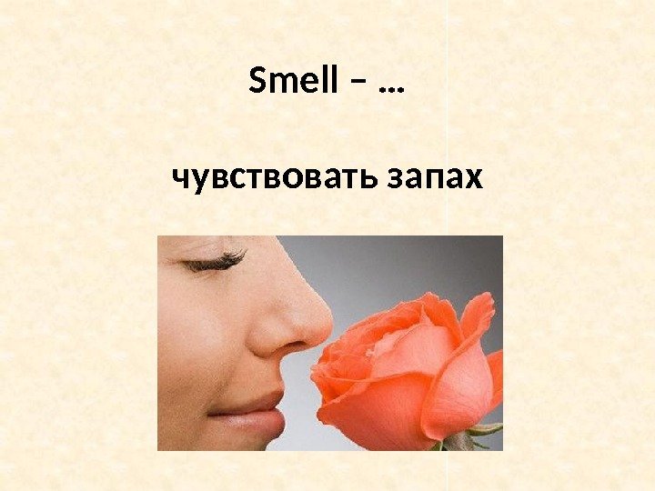 Smell – … чувствовать запах 