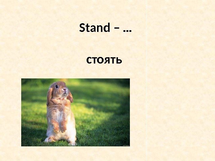 Stand – … стоять 