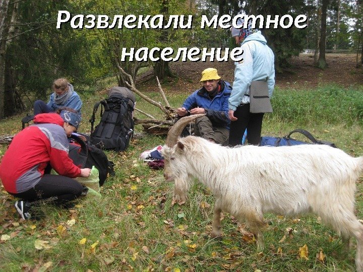 Развлекали местное население 