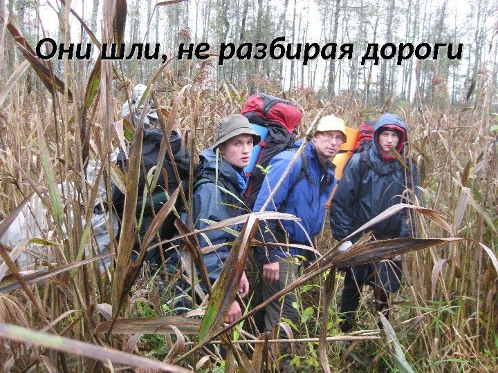 Они шли, не разбирая дороги 