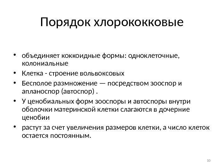 10 Порядок хлорококковые • объединяет коккоидные формы: одноклеточные,  колониальные  • Клетка -