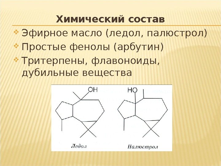 Химический состав Эфирное масло (ледол, палюстрол) Простые фенолы (арбутин) Тритерпены, флавоноиды,  дубильные вещества