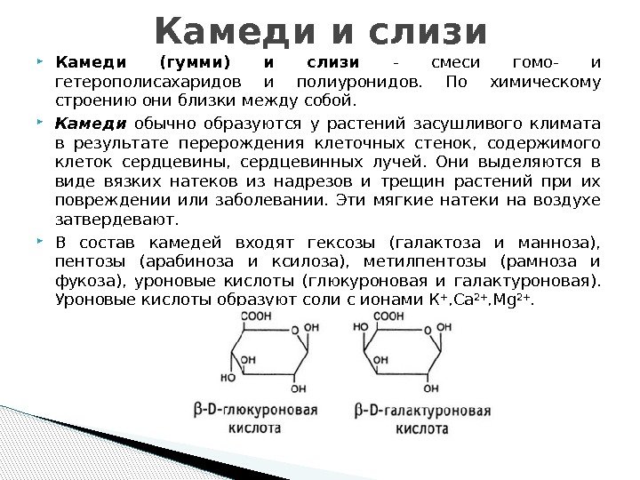  Камеди (гумми) и слизи - смеси гомо- и гетерополисахаридов и полиуронидов.  По