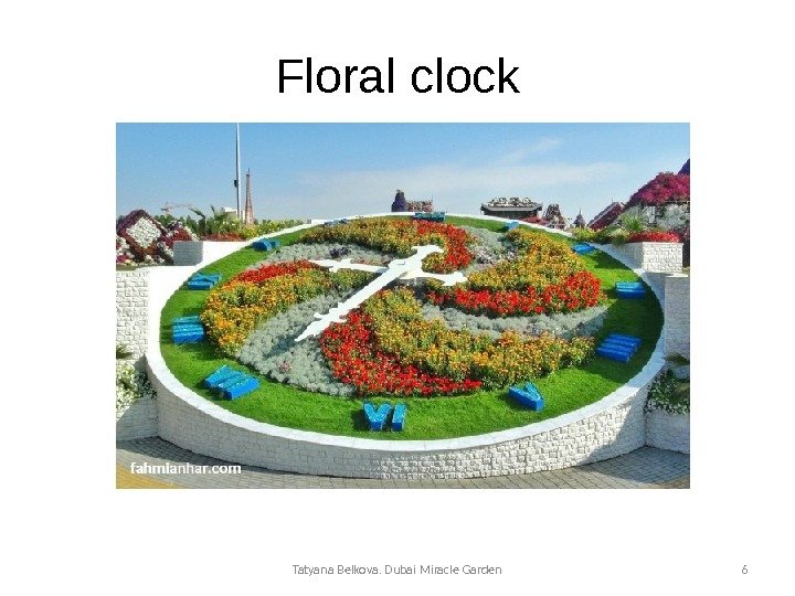 Floral clock Tatyana Belkova. Dubai Miracle Garden 6 