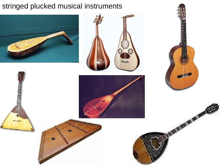   stringed plucked musical instruments  