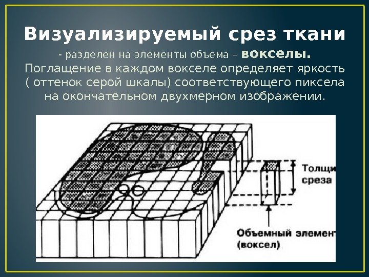 Визуализируемый срез ткани - разделен на элементы объема – вокселы. Поглащение в каждом вокселе