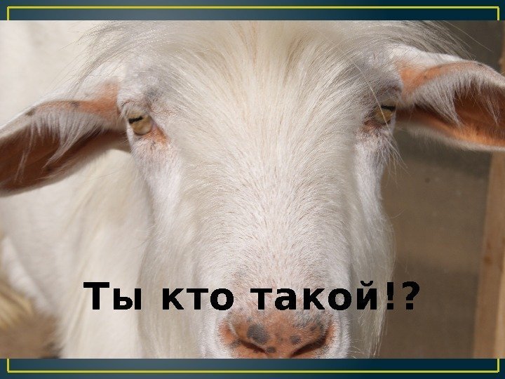 Ты кто такой!? 