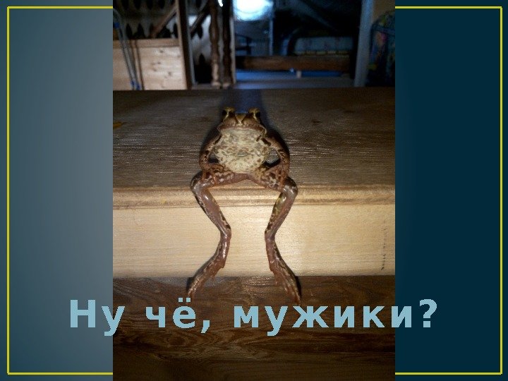 Н у  ч ё ,  м у ж и к и ?