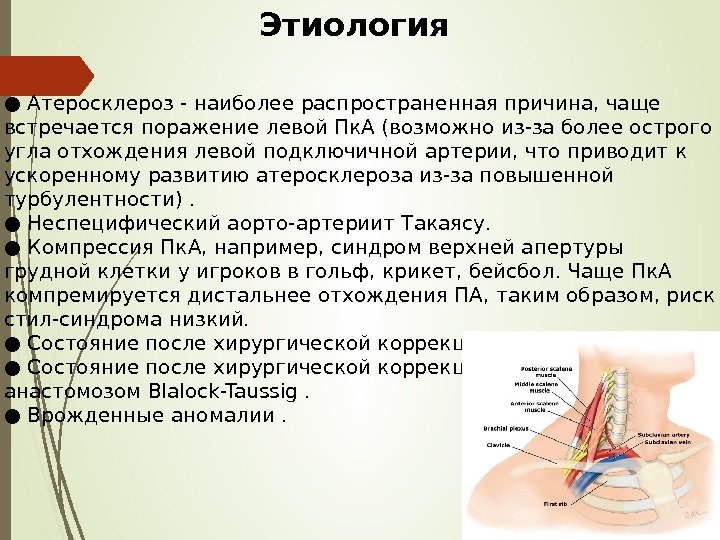 Этиология ● Атеросклероз - наиболее распространенная причина, чаще встречается поражение левой Пк. А (возможно