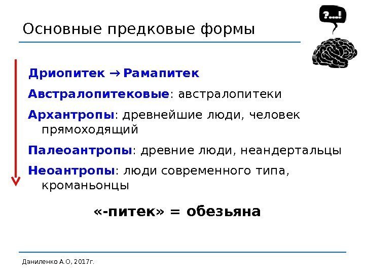 Основные предковые формы Даниленко А. О, 2017 г. Дриопитек → Рамапитек Австралопитековые : австралопитеки