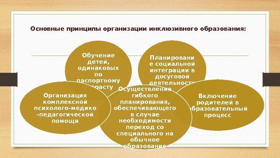 Основные принципы организации инклюзивного образования: Планировани е социальной интеграции в досуговой деятельности. Обучение детей,