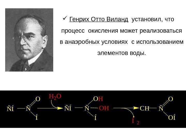  Генрих Отто Виланд установил,  что процесс окисления может реализоваться в анаэробных условиях