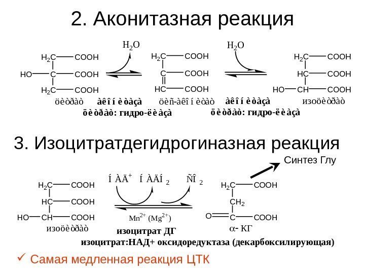 2. Аконитазная реакция H O CH 2 C C O O H öèòðàò CH