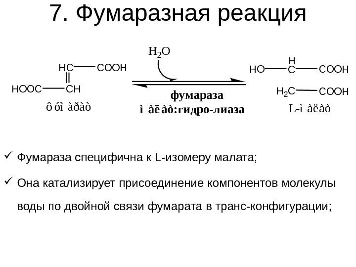 7. Фумаразная реакция Фумараза специфична к L-изомеру малата;  Она катализирует присоединение компонентов молекулы