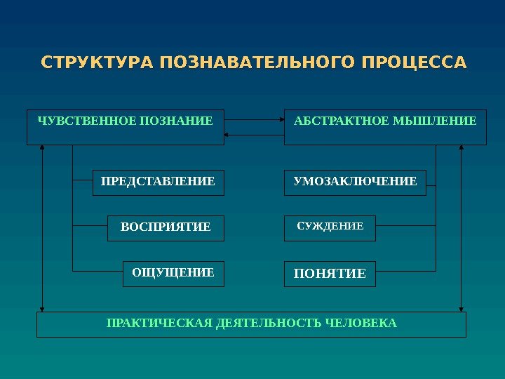 СТРУКТУРА ПОЗНАВАТЕЛЬНОГО ПРОЦЕССА  ЧУВСТВЕННОЕ ПОЗНАНИЕ АБСТРАКТНОЕ МЫШЛЕНИЕ ПРЕДСТАВЛЕНИЕ УМОЗАКЛЮЧЕНИЕ ВОСПРИЯТИЕ СУЖДЕНИЕ ОЩУЩЕНИЕ ПОНЯТИЕ