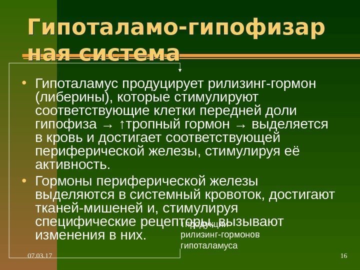 07. 03. 17 16 Гипоталамо-гипофизар ная система • Гипоталамус продуцирует рилизинг-гормон (либерины), которые стимулируют