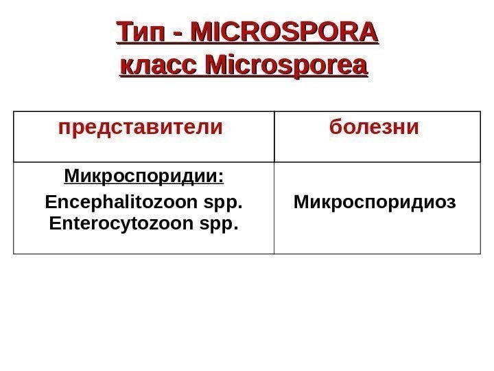   Тип - MICROSPORA класс Microsporea  представители  болезни  Микроспоридии :