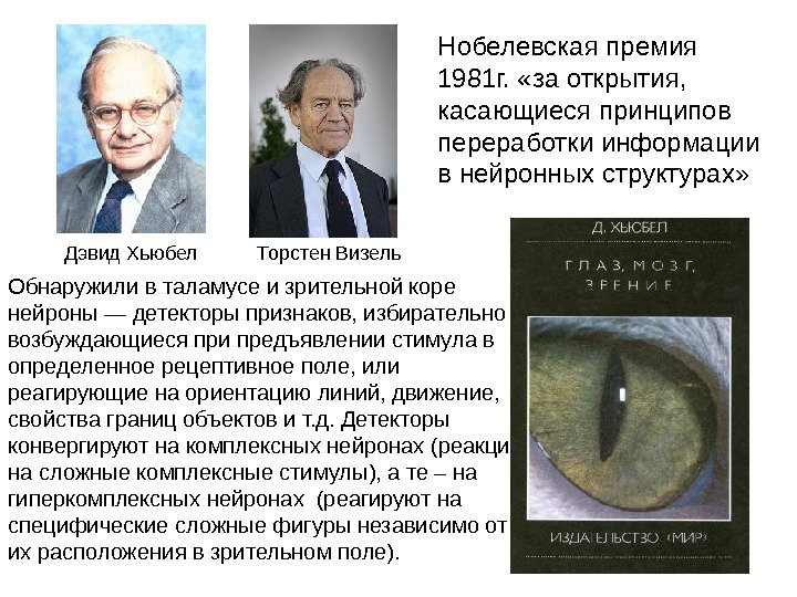 Торстен Визель Нобелевская премия 1981 г.  «за открытия,  касающиеся принципов переработки информации