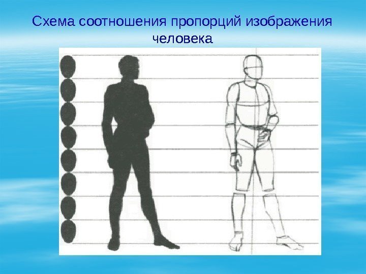 Схема соотношения пропорций изображения человека 