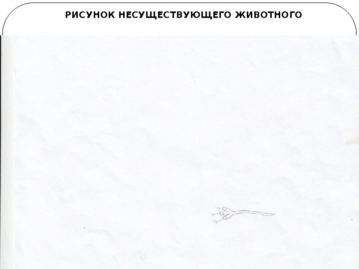 РИСУНОК НЕСУЩЕСТВУЮЩЕГО ЖИВОТНОГО РИСУНОК НЕСУЩЕСТВУЮЩЕГО ЖИВОТНОГО