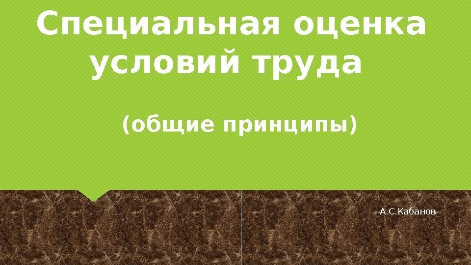 А. С. Кабанов(общие принципы)Специальная оценка условий труда 01 01 