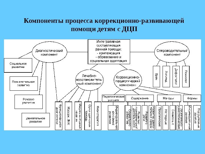 Компоненты процесса коррекционно-развивающей помощи детям с ДЦП 