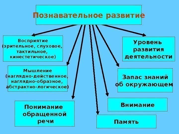 Восприятие (зрительное, слуховое,  тактильное,  кинестетическое) Запас знаний об окружающем Уровень развития 