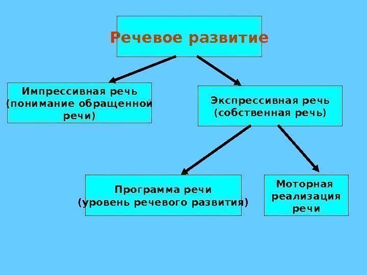 Речевое развитие Импрессивная речь (понимание обращенной речи) Экспрессивная речь (собственная речь) Программа речи (уровень