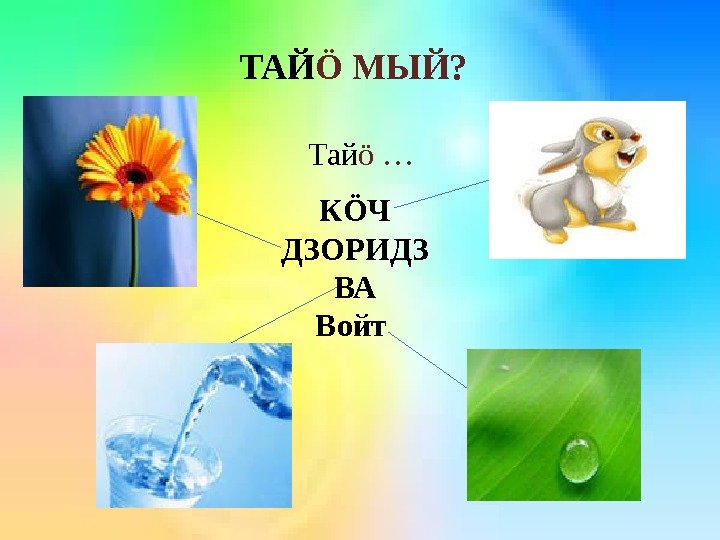 ТАЙ Ö МЫЙ? Тай ö … КÖЧ ДЗОРИДЗ ВА Войт  