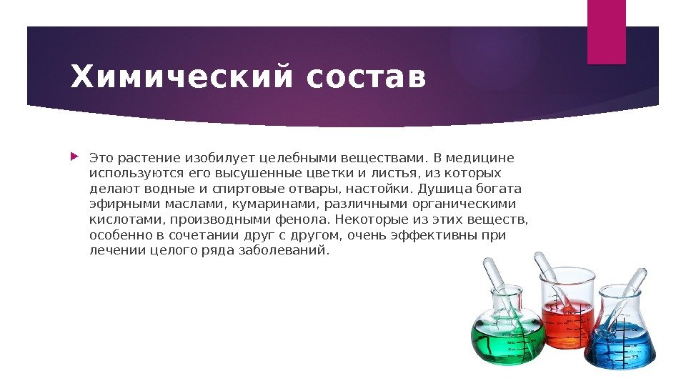 Химический состав Это растение изобилует целебными веществами. В медицине используются его высушенные цветки и