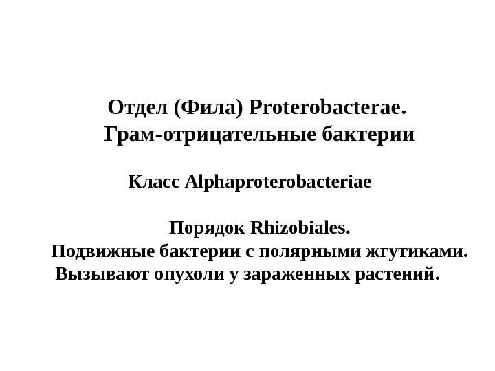 Отдел (Фила) Proterobacterae.  Грам - отрицательные бактерии   Класс Alphaproterobacteriae  