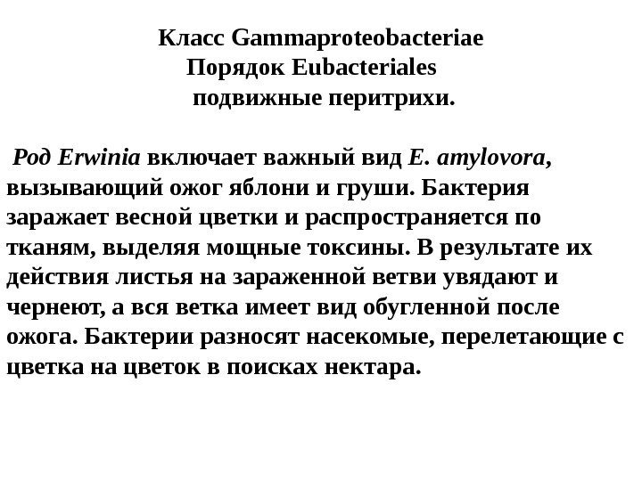 Класс Gammaproteobacteriae      Порядок Eubacteriales  подвижные перитрихи.  