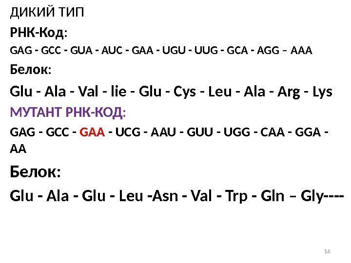 ДИКИЙ ТИП РНК-Код:  GAG - GCC - GUA - AUC - GAA -
