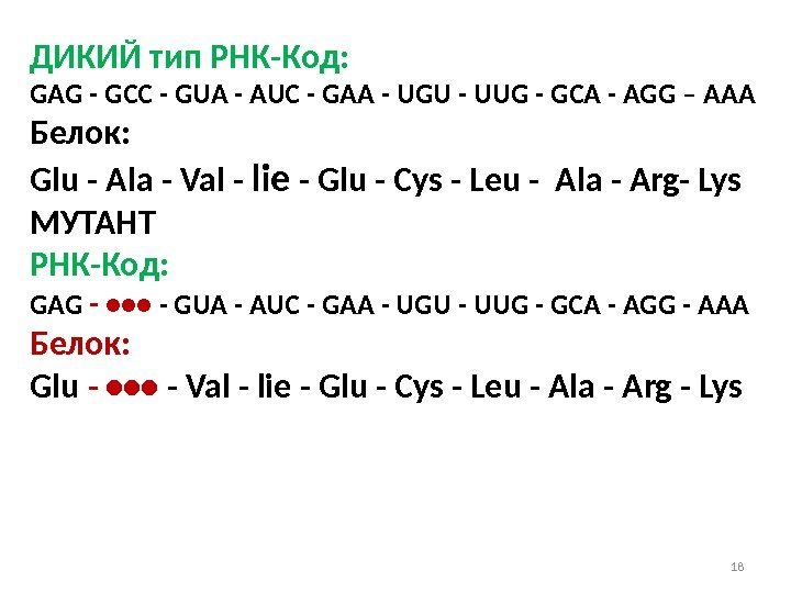 18 ДИКИЙ тип РНК-Код:  GAG - GCC - GUA - AUC - GAA