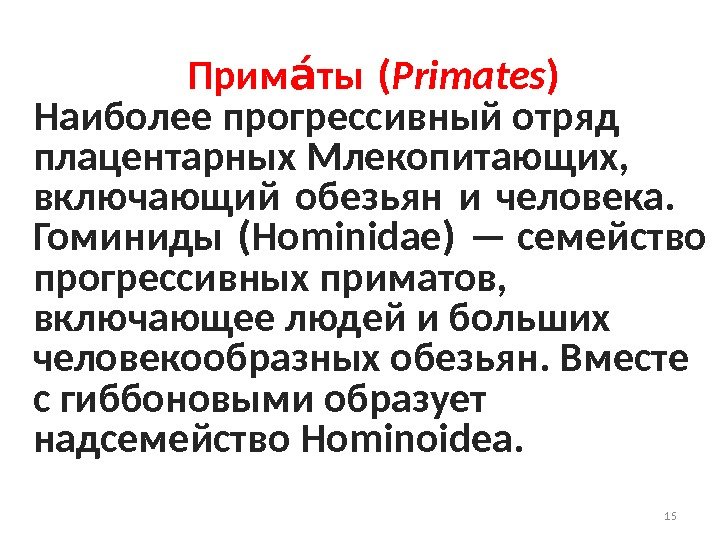 15 Прим ты (ао Primates ) Наиболее прогрессивный отряд плацентарных Млекопитающих,  включающий обезьян