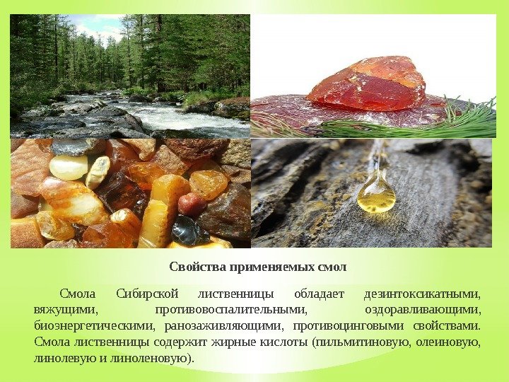 Свойства применяемых смол Смола Сибирской лиственницы обладает дезинтоксикатными,  вяжущими,  противовоспалительными,  оздоравливающими,