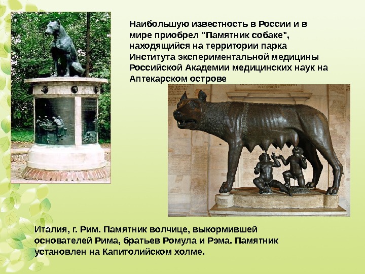 Наибольшую известность в России и в мире приобрел Памятник собаке,  находящийся на территории