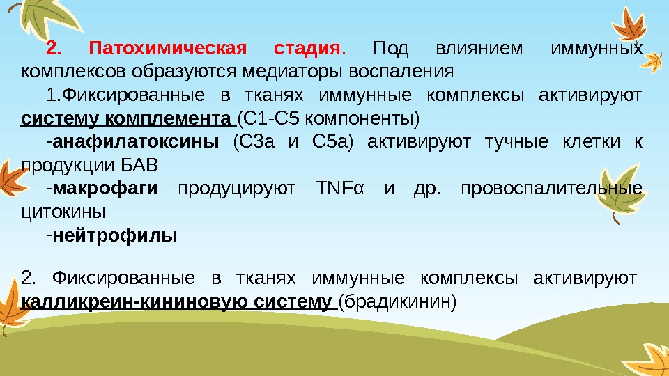 2.  Патохимическая стадия.  Под влиянием иммунных комплексов  образуются медиаторы воспаления 1.