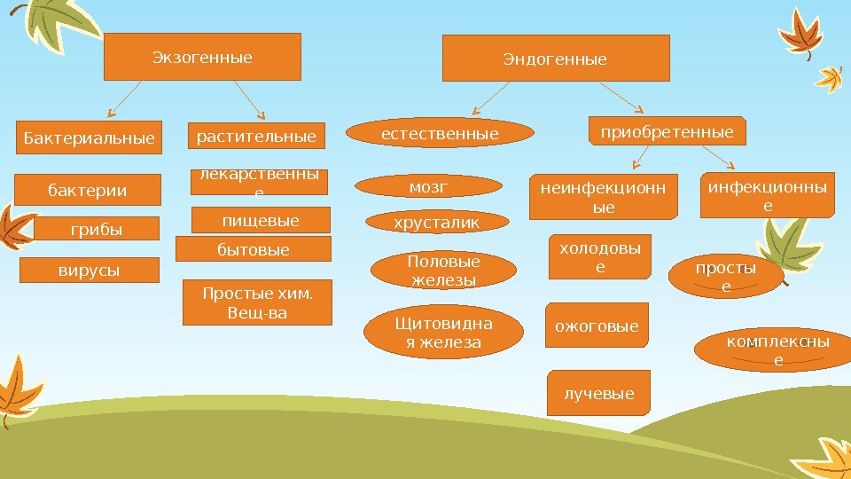 Экзогенные Эндогенные Бактериальные бактерии грибы вирусы растительные пищевые бытовые . Простые хим - Вещ