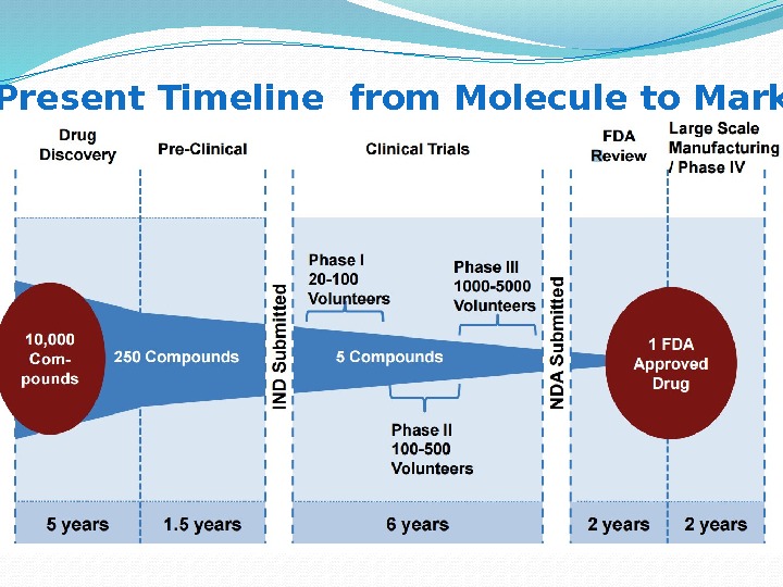  Present Timeline from Molecule to Market 