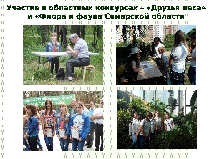 Участие в областных конкурсах – «Друзья леса»  и «Флора и фауна Самарской области