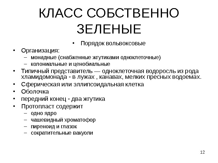 12 КЛАСС СОБСТВЕННО ЗЕЛЕНЫЕ • Порядок вольвоксовые • Организация: – монадные (снабженные жгутиками одноклеточные)