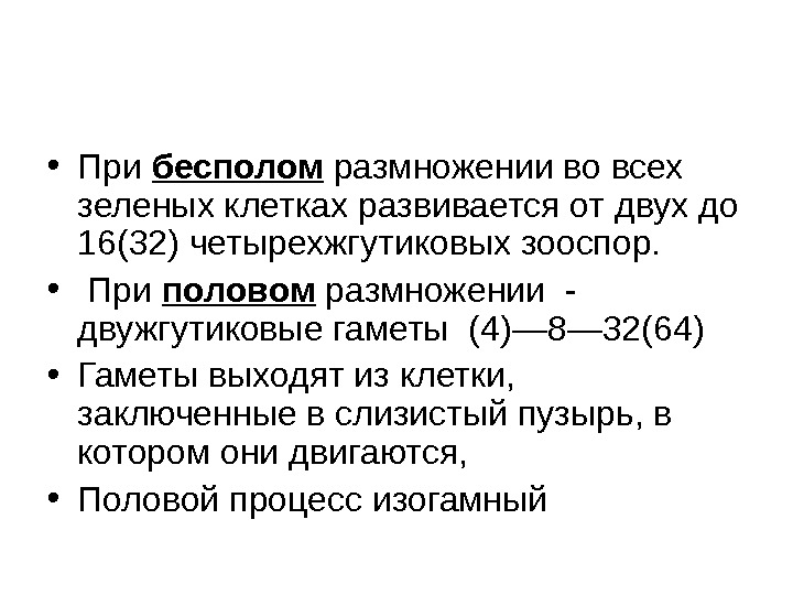  • При бесполом размножении во всех зеленых клетках развивается от двух до 16(32)