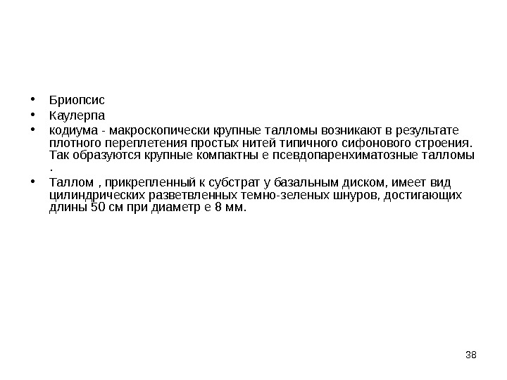 38 • Бриопсис • Каулерпа  • кодиума - макроскопически крупные талломы возникают в