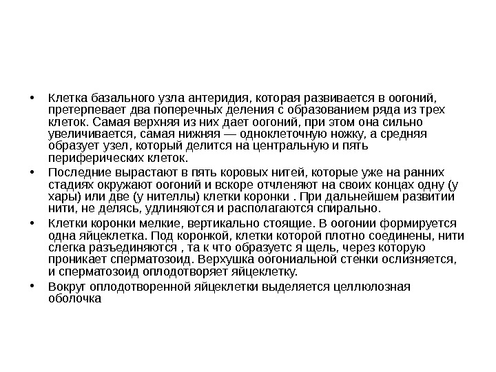  • Клетка базального узла антеридия, которая развивается в оогоний,  претерпевает два поперечных