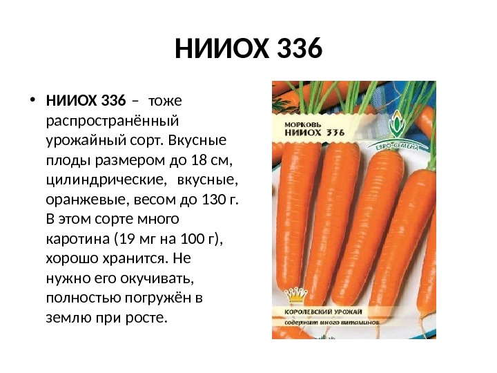 НИИОХ 336 • НИИОХ 336 – тоже  распространённый урожайный сорт. Вкусные плоды размером