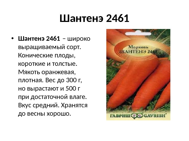 Шантенэ 2461 • Шантенэ 2461 – широко выращиваемый сорт.  Конические плоды,  короткие