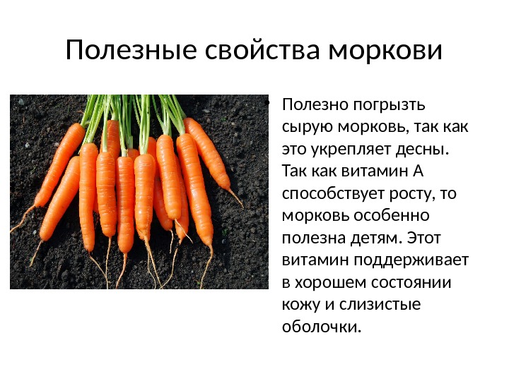 Полезные свойства моркови • Полезно погрызть сырую морковь, так как это укрепляет десны. 
